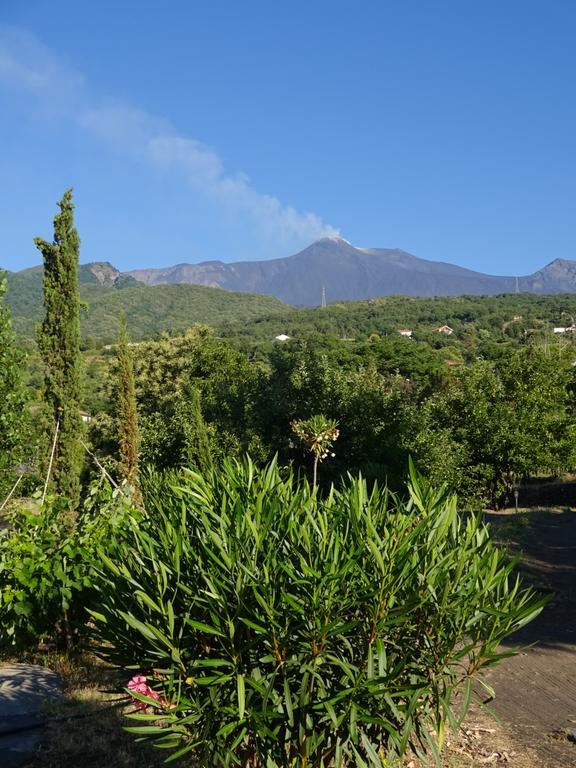 Alberto'S Mt.Etna B&B Zafferana Etnea Exterior photo