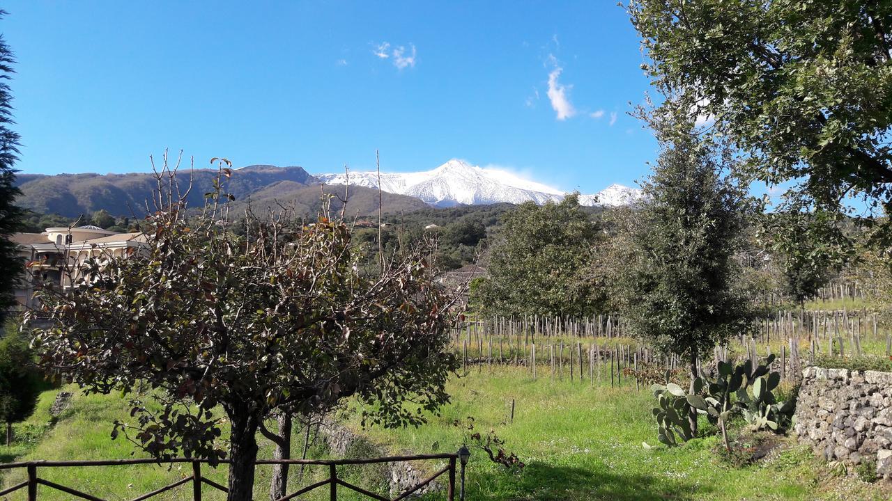 Alberto'S Mt.Etna B&B Zafferana Etnea Exterior photo